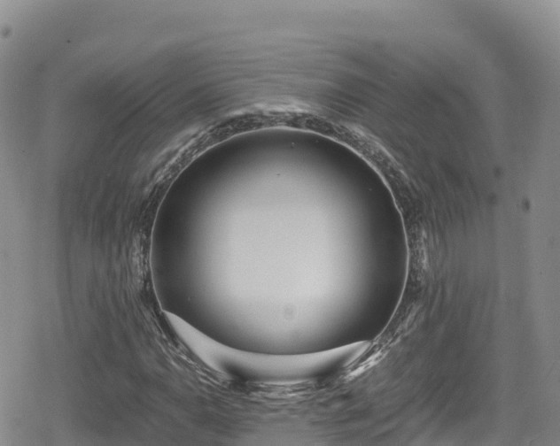 X0000080711110200612221136