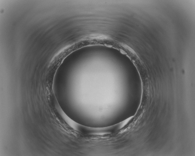 X0000080711112200612221136