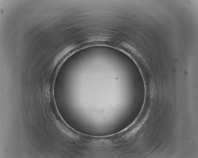 X0000080711113200612221136