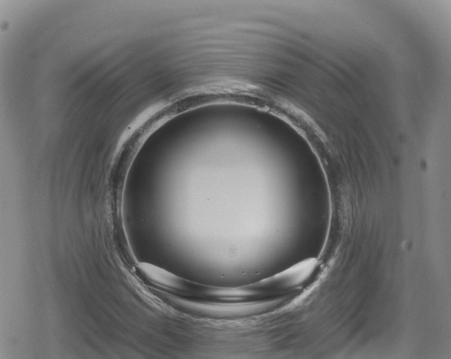 X0000080711114200612221136