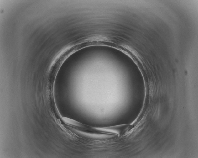 X0000080711115200612221136