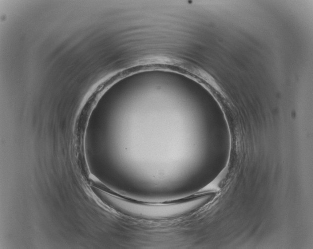 X0000080711116200612221136