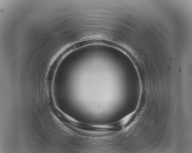 X0000080711118200612221136