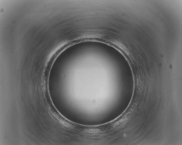 X0000080711119200612221136