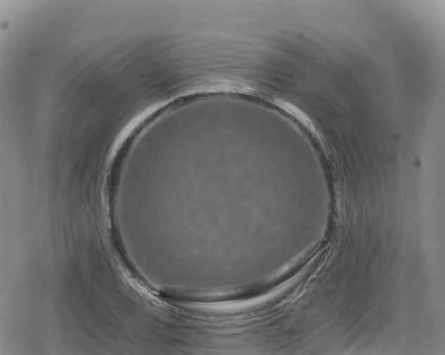 X0000080711120200612221136