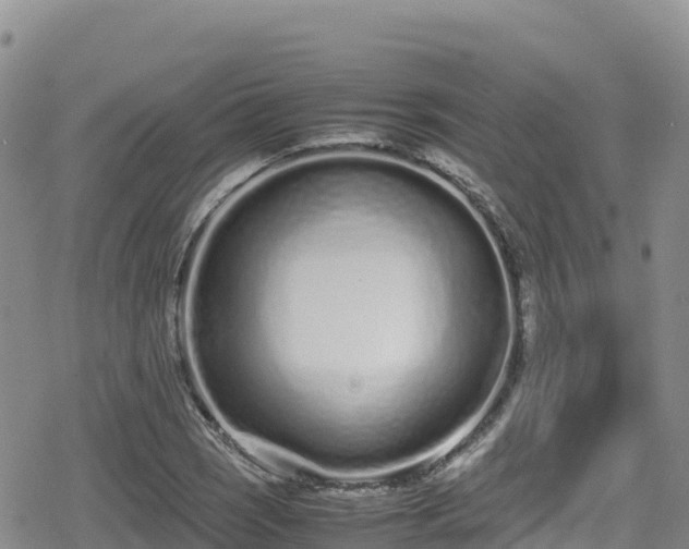 X0000080711121200612221136