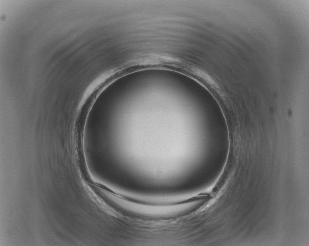 X0000080711122200612221136