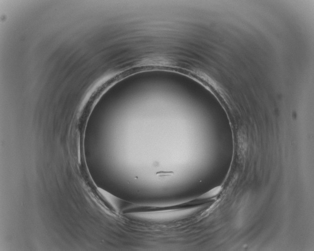 X0000080711123200612221136