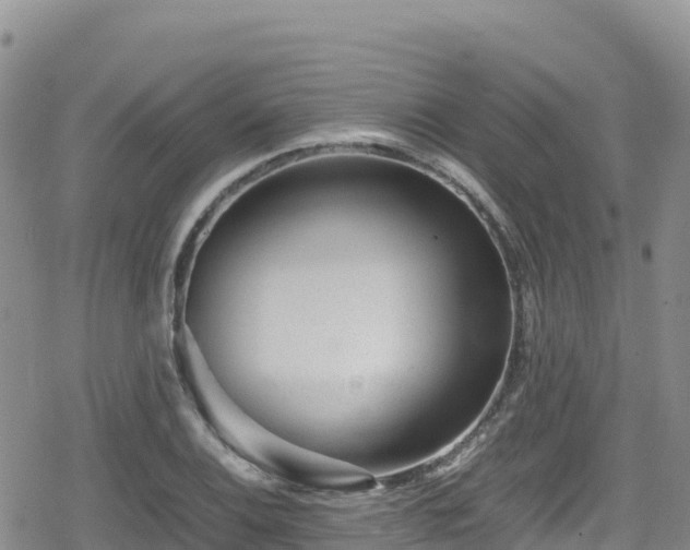 X0000080711124200612221136