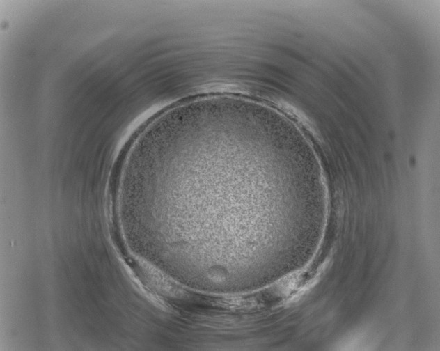 X0000080711125200612221136