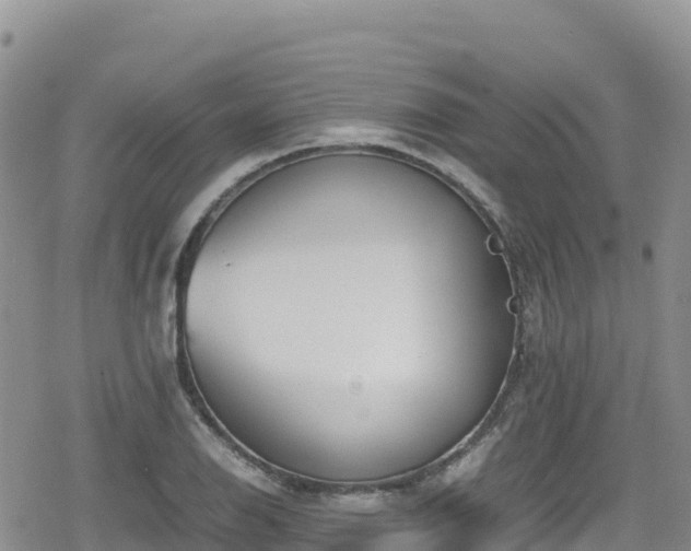 X0000080711126200612221136