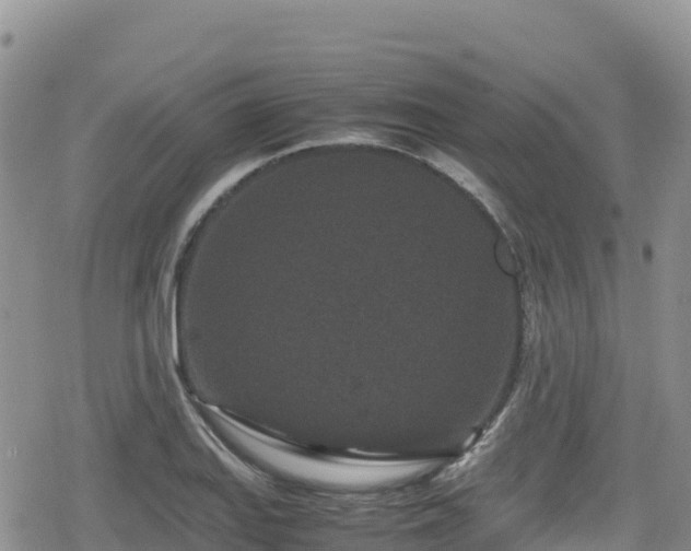 X0000080711127200612221136