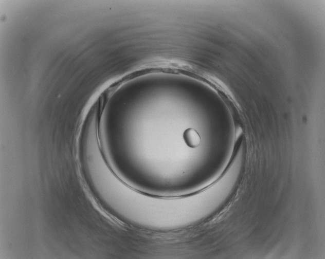 X0000080711128200612221136