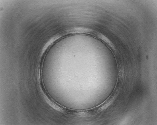 X0000080711130200612221136