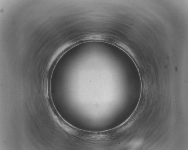 X0000080711131200612221136