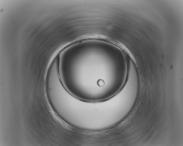 X0000080711132200612221136