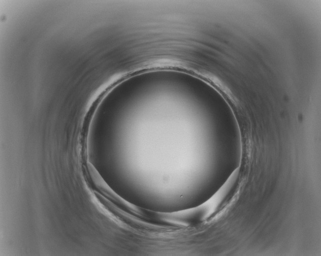 X0000080711134200612221136