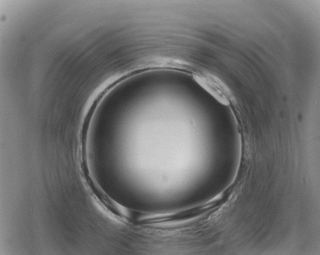 X0000080711136200612221136