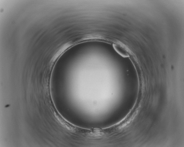 X0000080711137200612221136