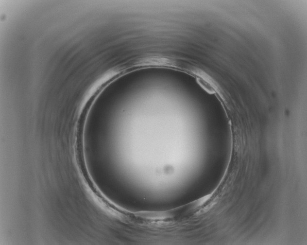 X0000080711139200612221136