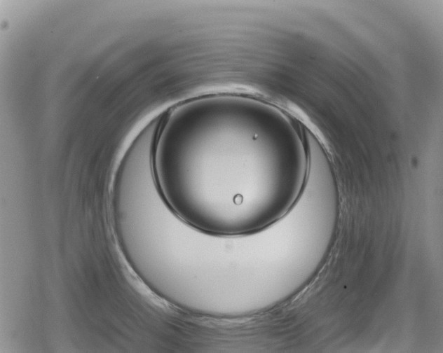 X0000080711140200612221136