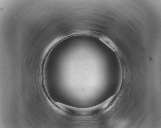 X0000080711143200612221136