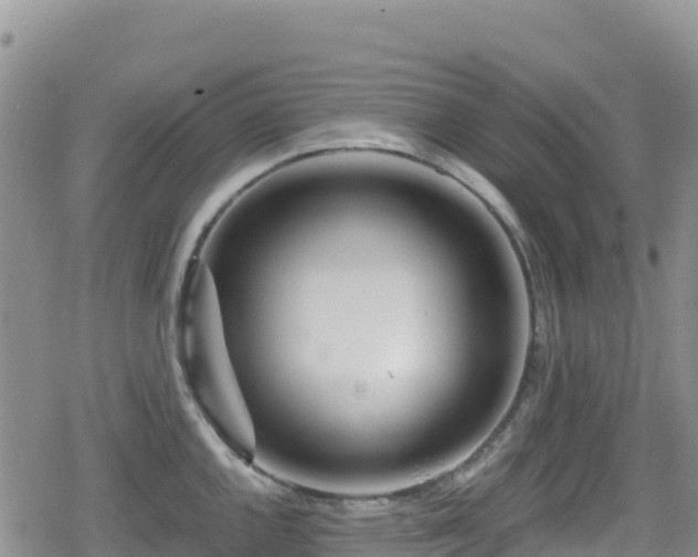 X0000080711144200612221136