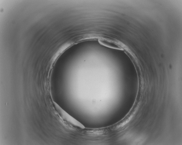 X0000080711145200612221136