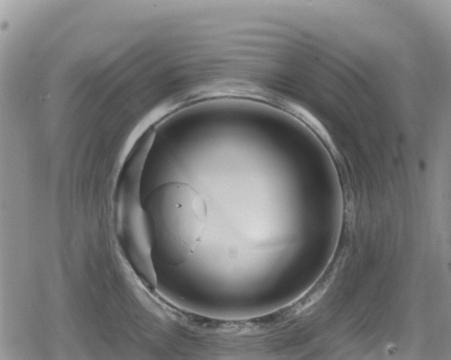 X0000080711146200612221136