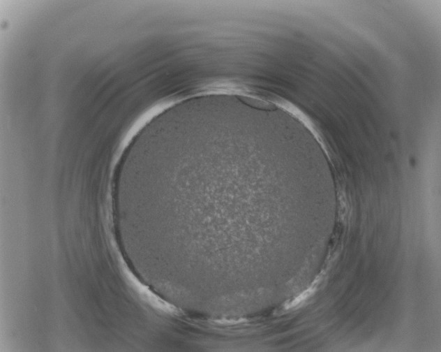 X0000080711147200612221136