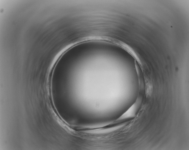 X0000080711148200612221136