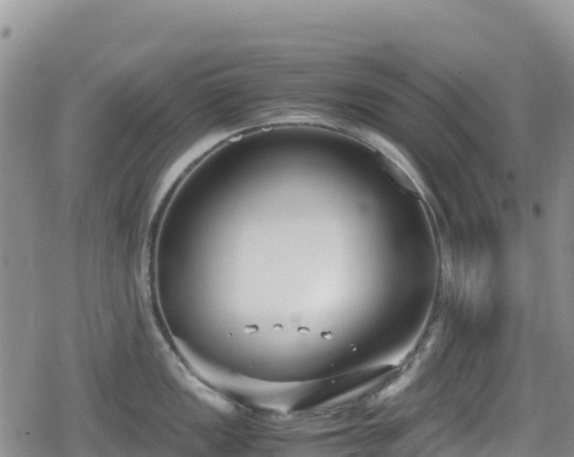 X0000080711149200612221136