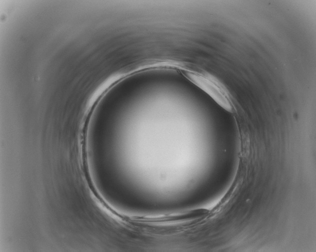 X0000080711151200612221136