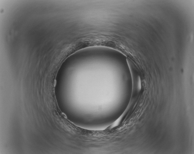 X0000080711153200612221136