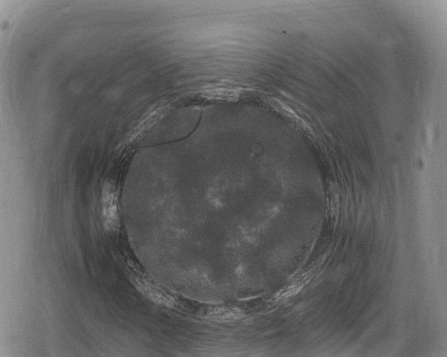 X0000080711154200612221136