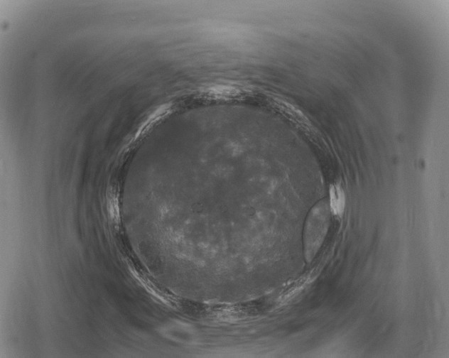 X0000080711155200612221135