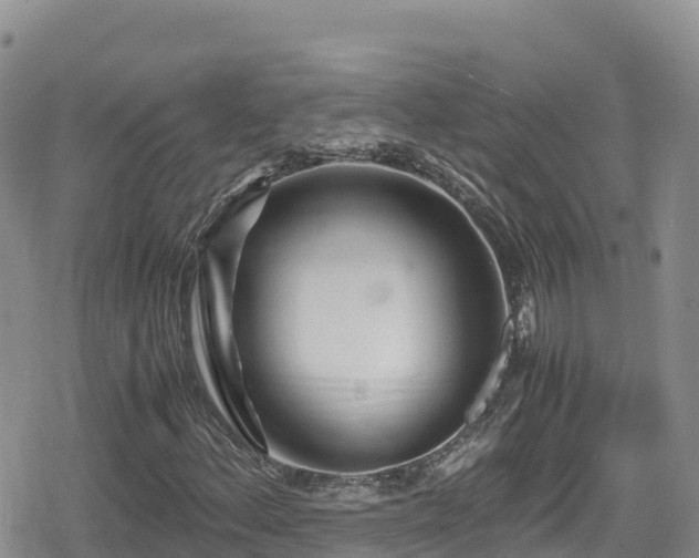 X0000080711156200612221135