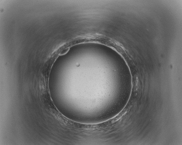 X0000080711158200612221135