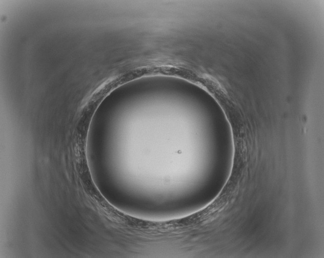 X0000080711159200612221135