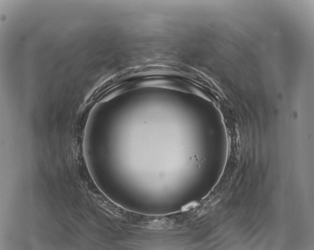 X0000080711160200612221135