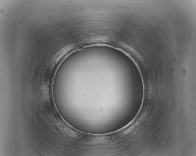 X0000080711162200612221135