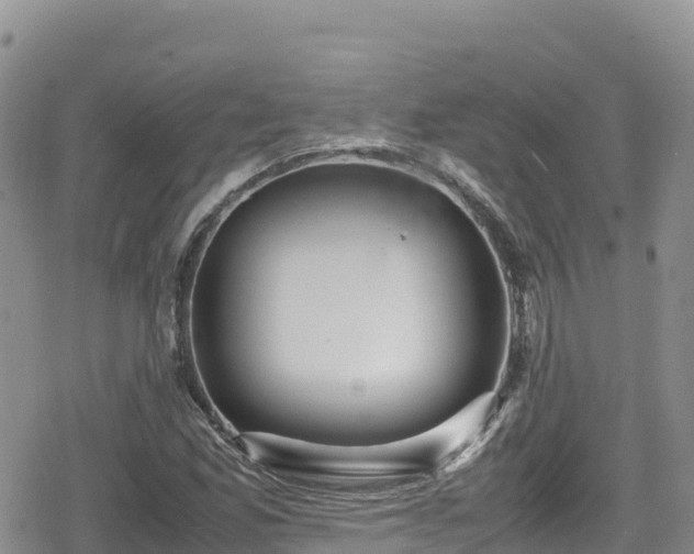 X0000080711165200612221135