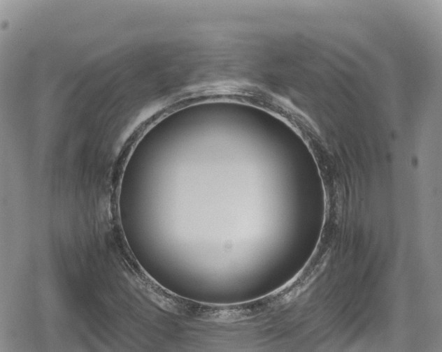 X0000080711166200612221135