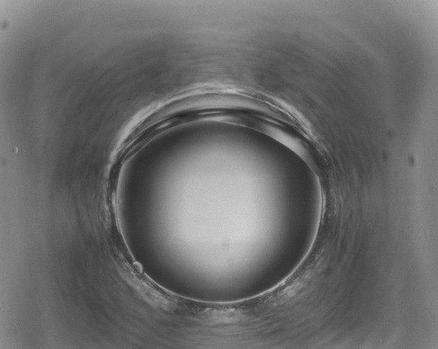 X0000080711168200612221135