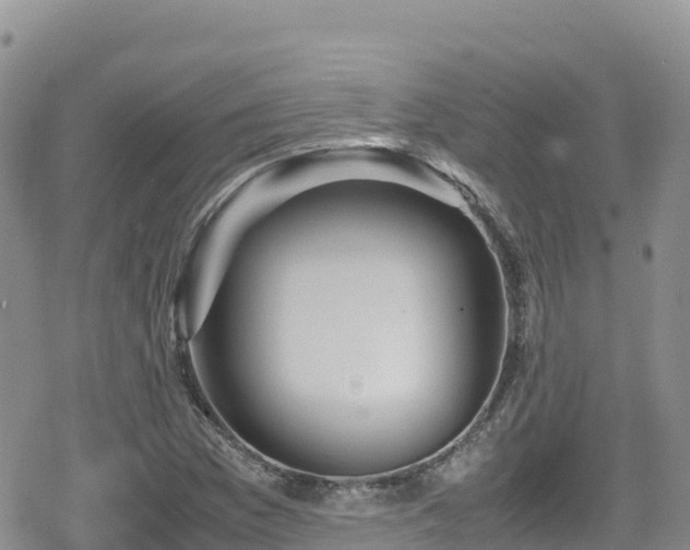 X0000080711169200612221135