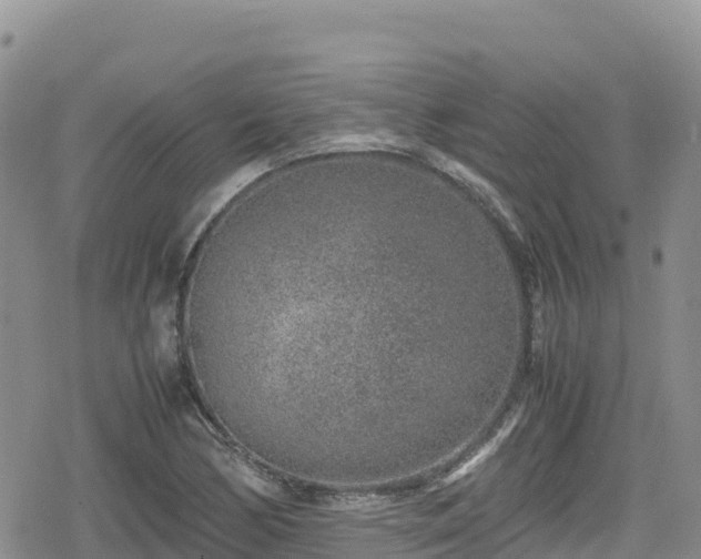 X0000080711170200612221135