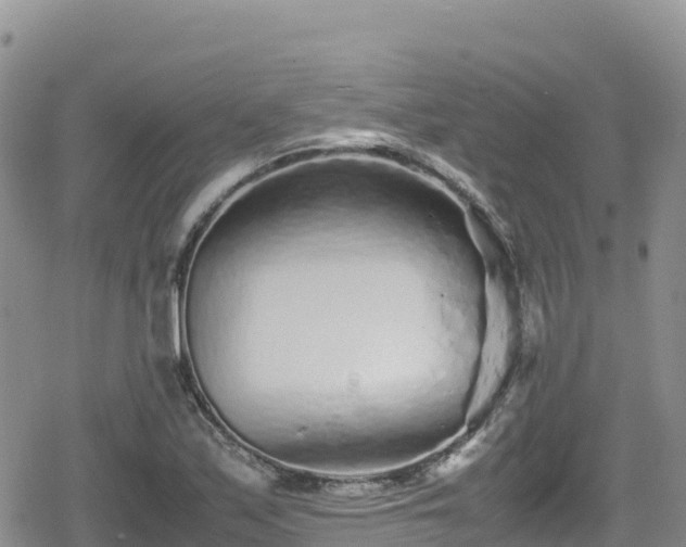 X0000080711171200612221135