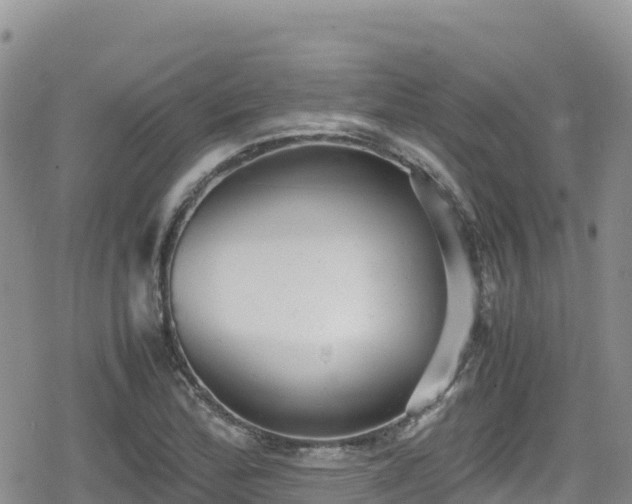 X0000080711172200612221135