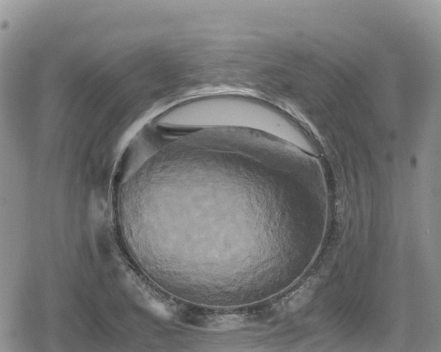 X0000080711173200612221135