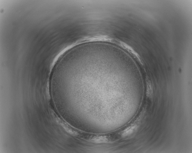 X0000080711174200612221135